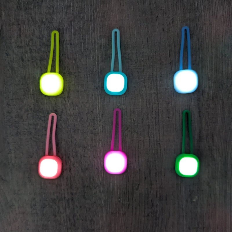 Pendentif lumineux pour chien