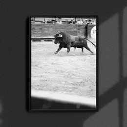 El toro