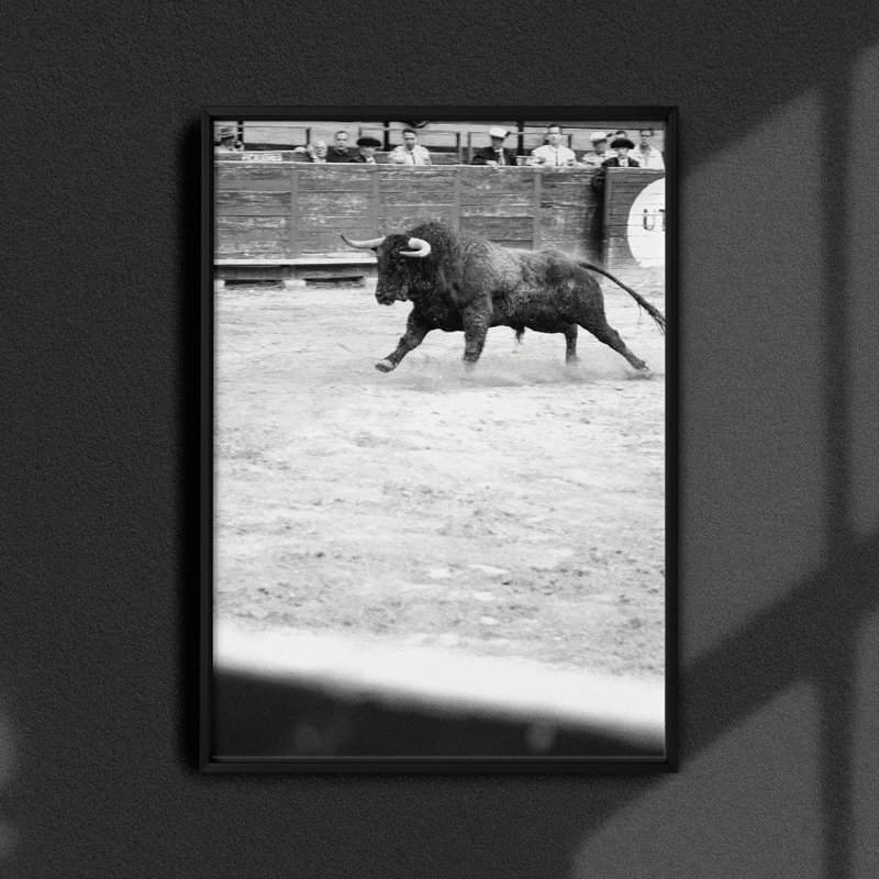 El toro