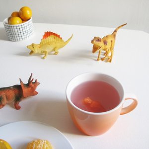 Dinosaur Orange Mug