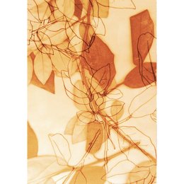 Botanical III notecard - a card featuring an abstract floral design in warm tones of orange and brown.