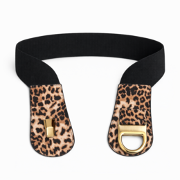 HS Belt - in 6+ Colors - Clip closure