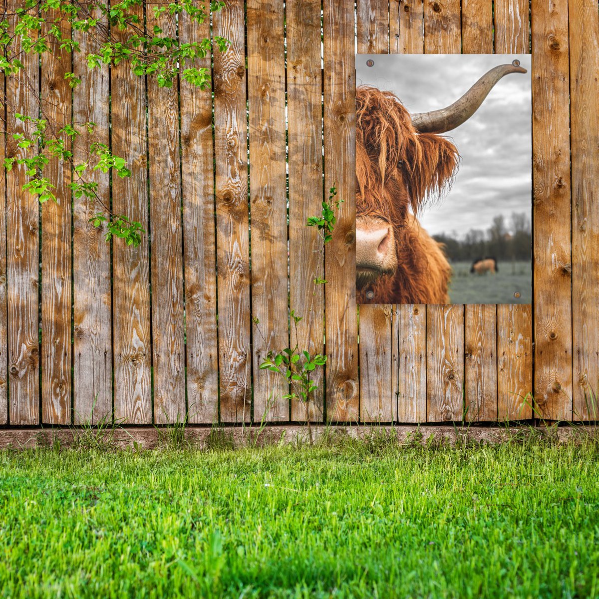 Gartenplakat Highlander