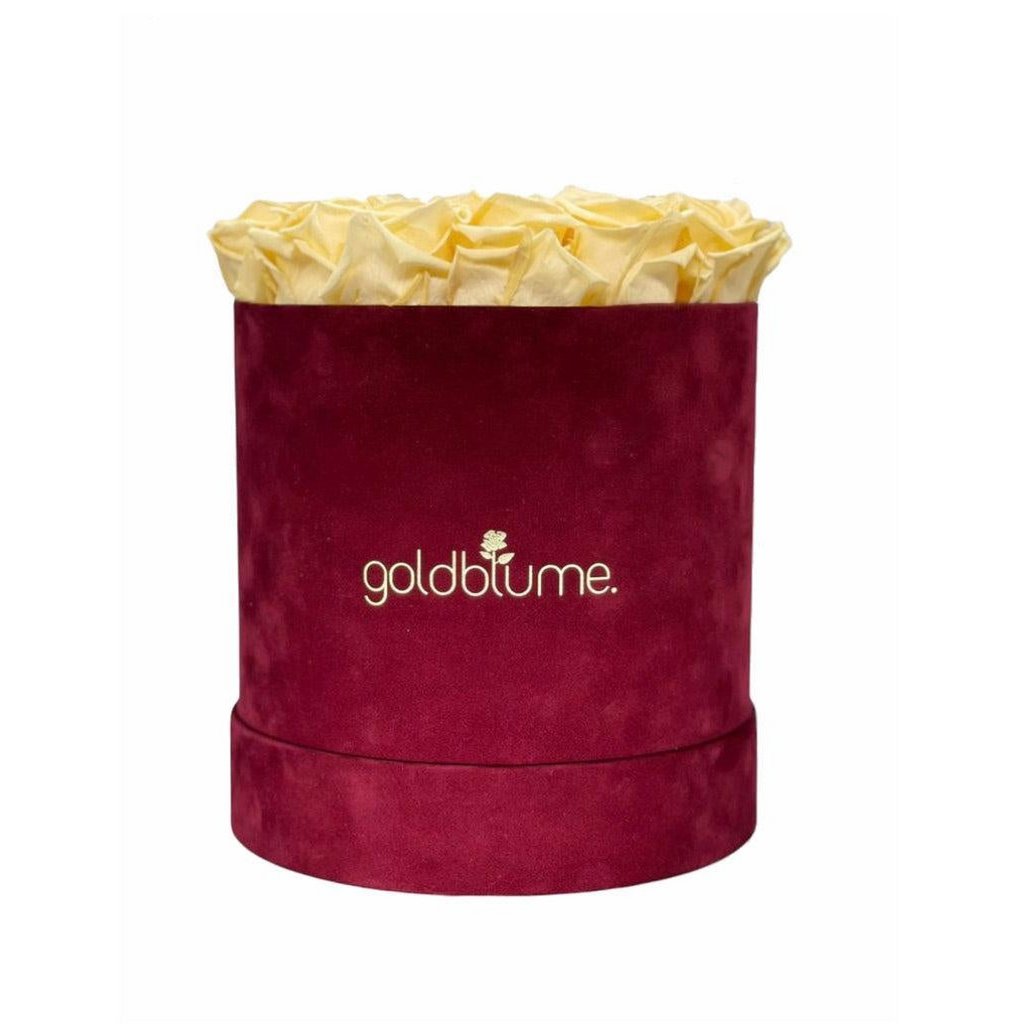 Collection Velours Bordeaux