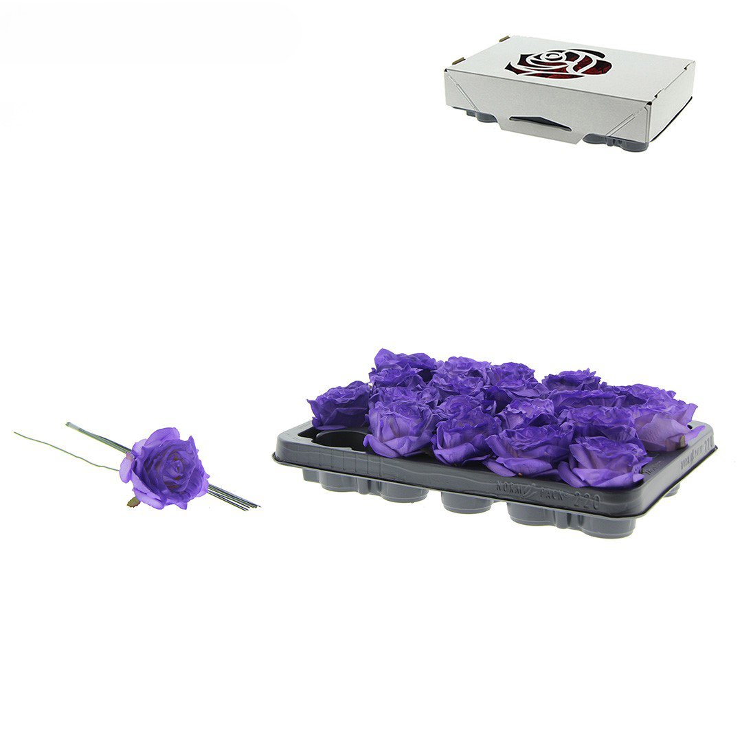 Rose Decooz® Silk - Purple