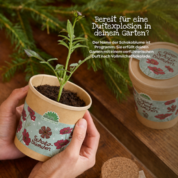Schokoblumen aus dem Becher
