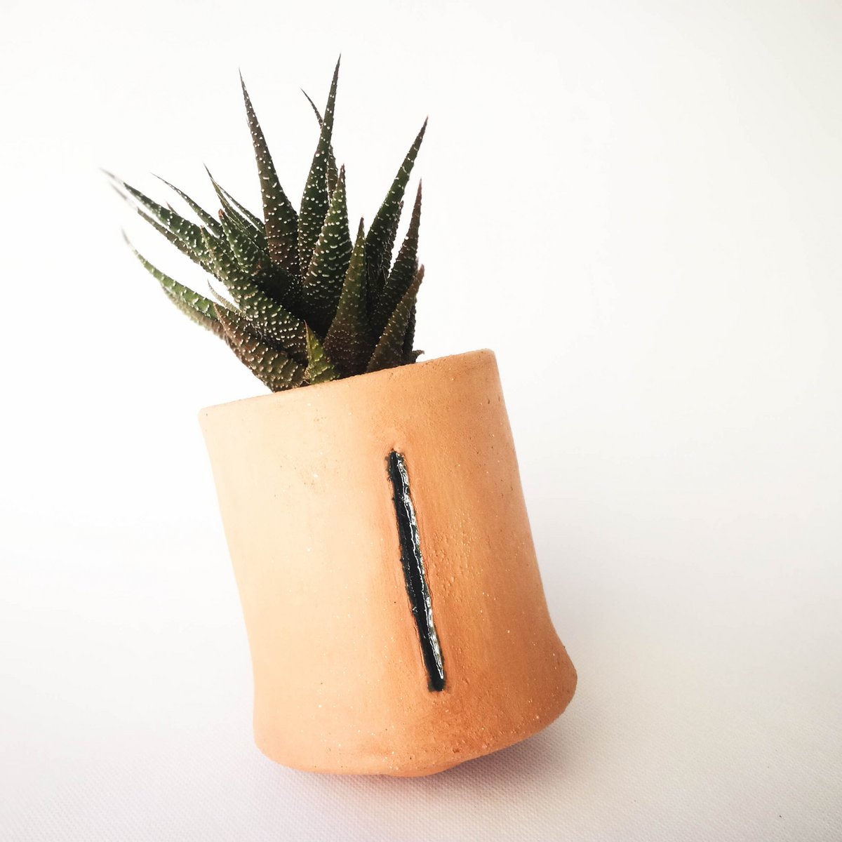 Petit Terracotta Planter