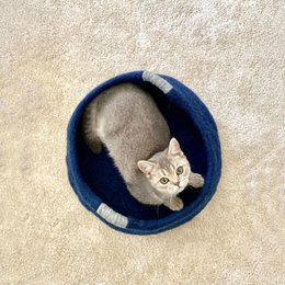 Basket light gray