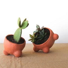 Terracotta plant pots with green succulent plants in a whimsical animal shape. The pots have a round, bulbous shape with short legs, creating a playful and unique planter design.