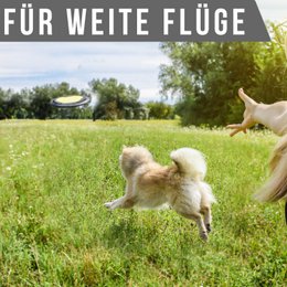 juguete para perros con pídico para perros NE & NO®