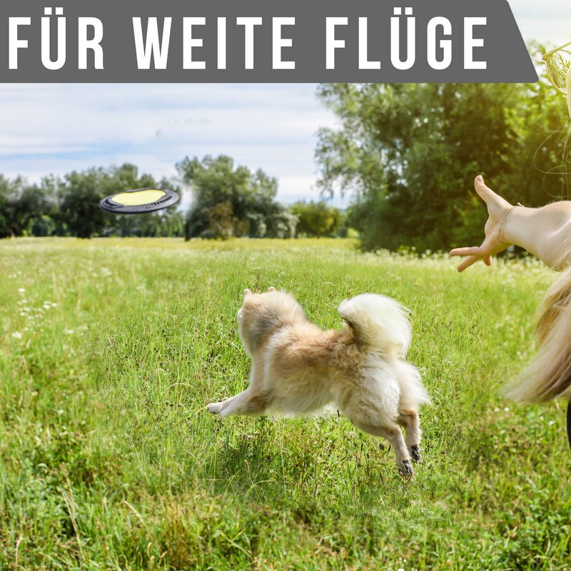juguete para perros con pídico para perros NE & NO®