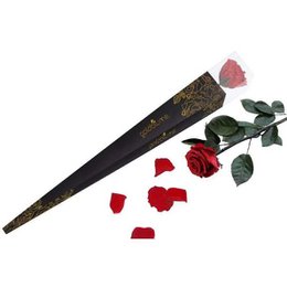 Langstielige Sky Rose