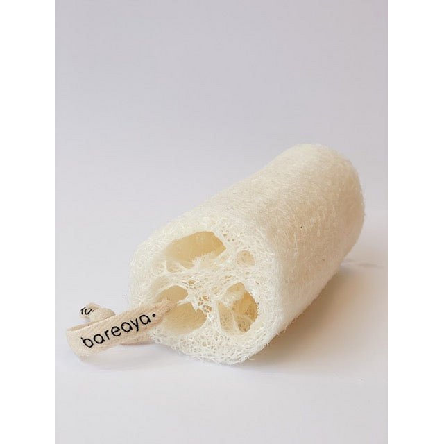 Luffa