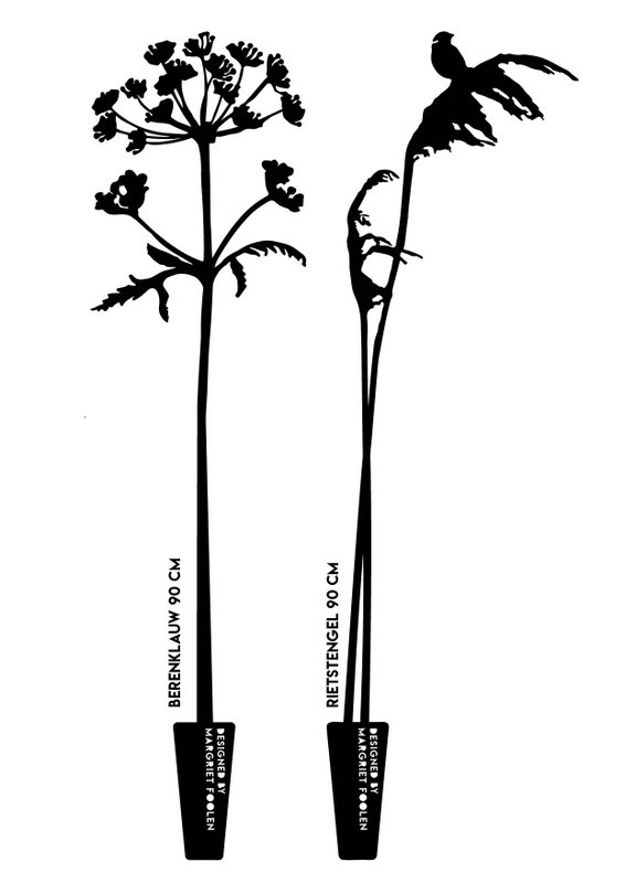 Caña y Hogweed acero corten 90 cm