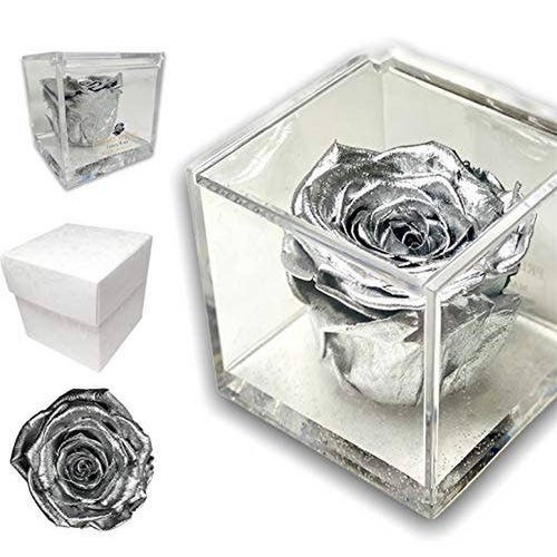 Cube de rose préservée en argent de 8 cm, boîte parfumée Rose Vera