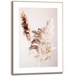 Painting Slim Frame Pampas Grass 70x50