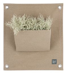 The Green PocketsÂ® AMMA Vintage Brown