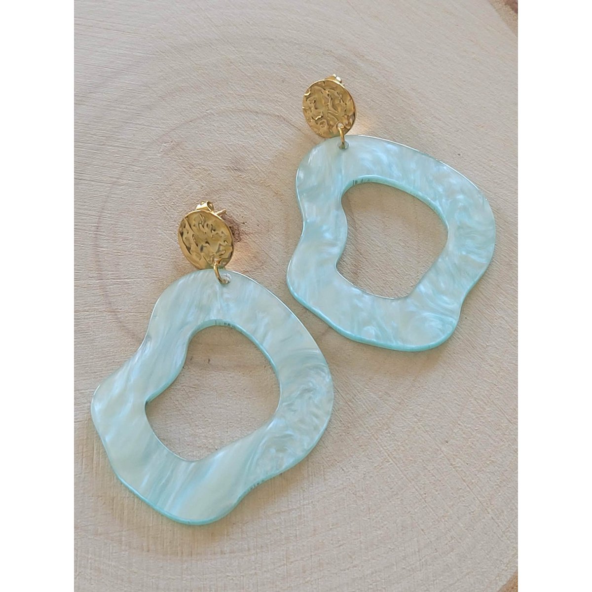 Earrings 249