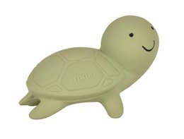 Ma première tortue animale océanique