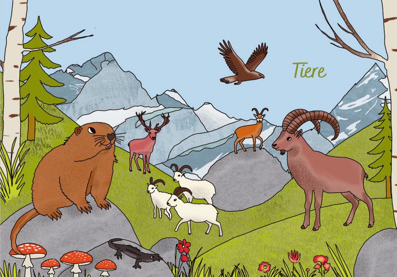 Zwitserland voor kinderen