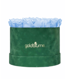 Velvet Green Collection