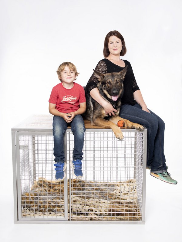 Dog Box Square Edition ROCKY Medium