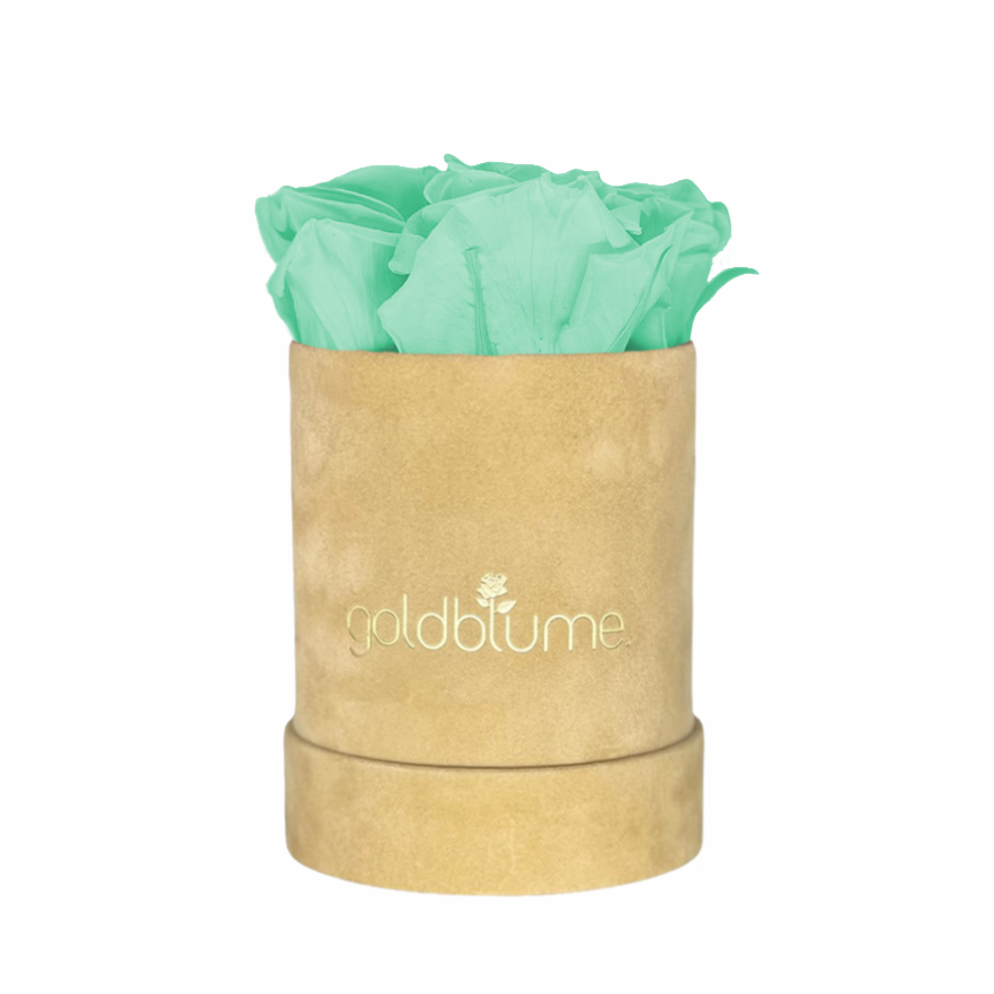 Minty Green S
