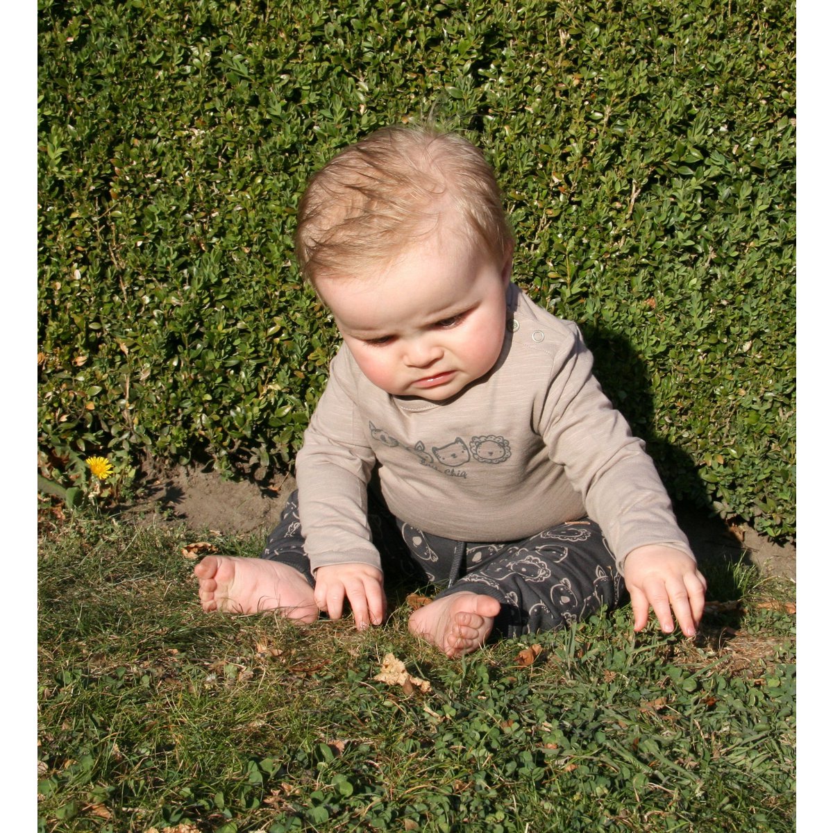 Little Chiq Baby Jogger animal friends