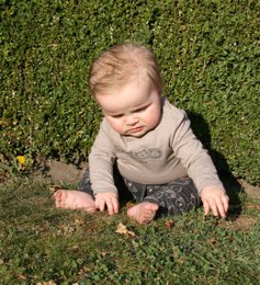 Little Chiq Baby Jogger animal friends