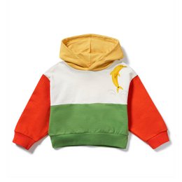 Colour Block Hoodie