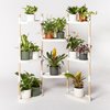 Plant shelves 8 trays