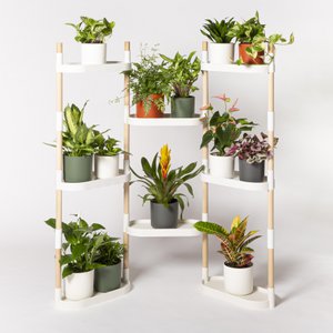 Plant shelves 8 trays