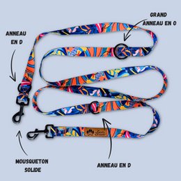 Multi-position Lagoon leash
