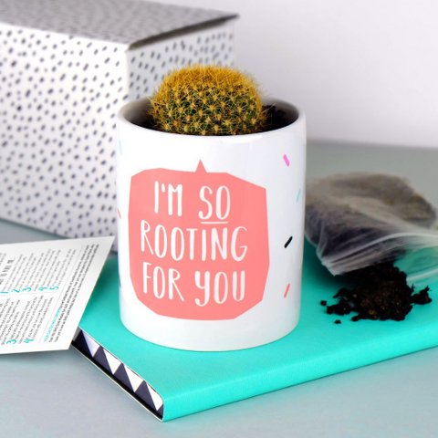 I'm So Rooting For You Plant Pot