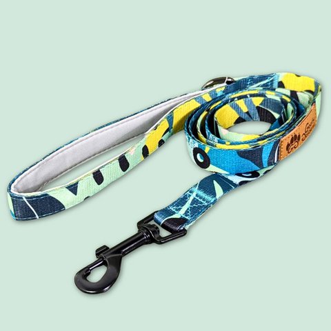 Reef dog leash