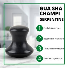 Gua Sha y Hongo en Piedra Natural | 6 modelos para elegir