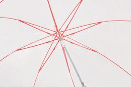Großer automatischer transparenter Regenschirm | Winddicht | C-Sammlung