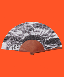 Hand fan CHARCOAL FOREST  - 27 cm - white and black