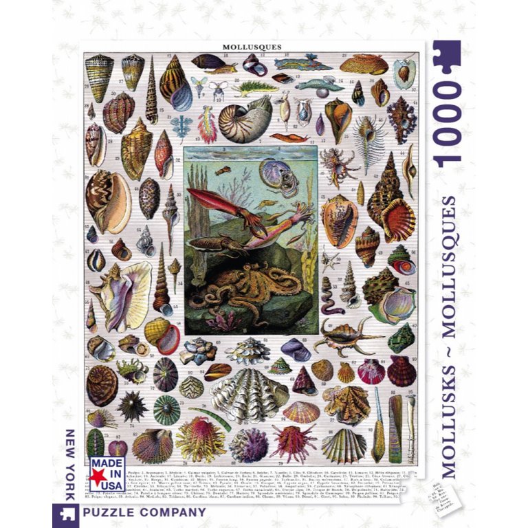 New York Puzzle Company Puzzle Mollusks - 1000 pieces