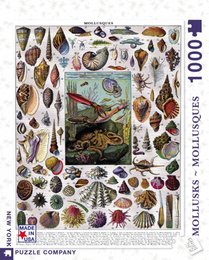 New York Puzzle Company Puzzle Mollusks - 1000 pieces