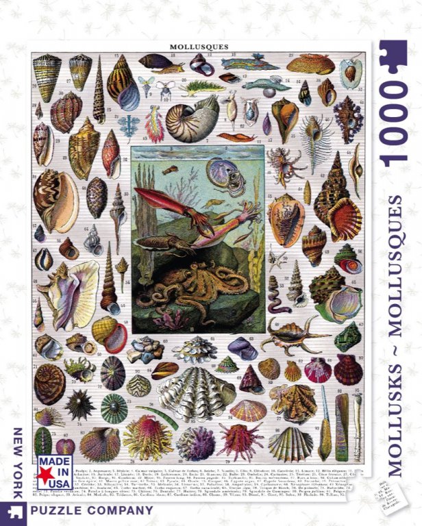 New York Puzzle Company Puzzle Mollusks - 1000 pieces