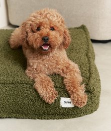 Grünes Schaffell-Hundebett, Cuadra