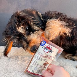 Pies Snack Puppy Spaghetti 30G x 40