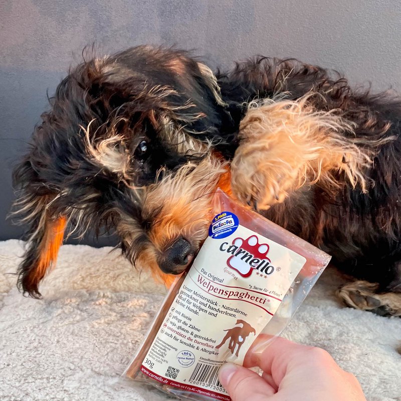 Pies Snack Puppy Spaghetti 30G x 40