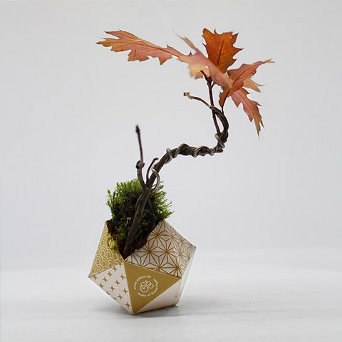 Urban Jungle Kit - Japanese collection