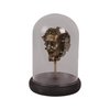 Bacchus-Figur mit Glaskuppel 23 cm