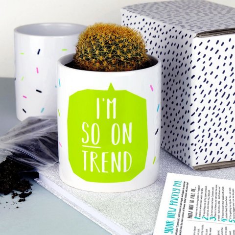 I'm So On Trend Plant Pot