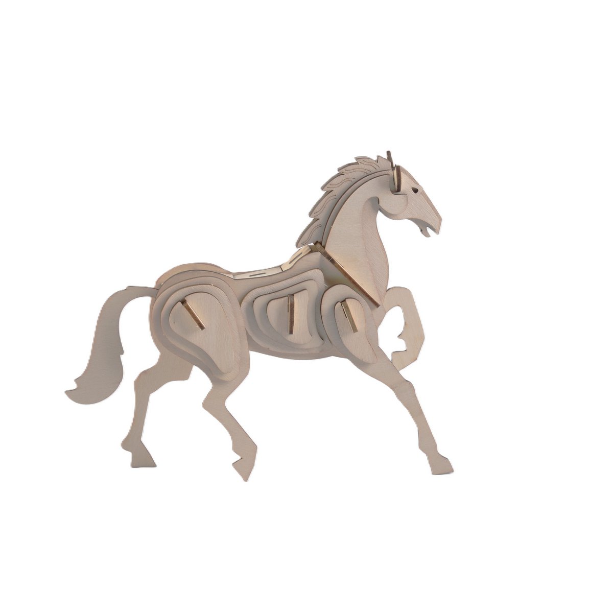 Package de tours Horse