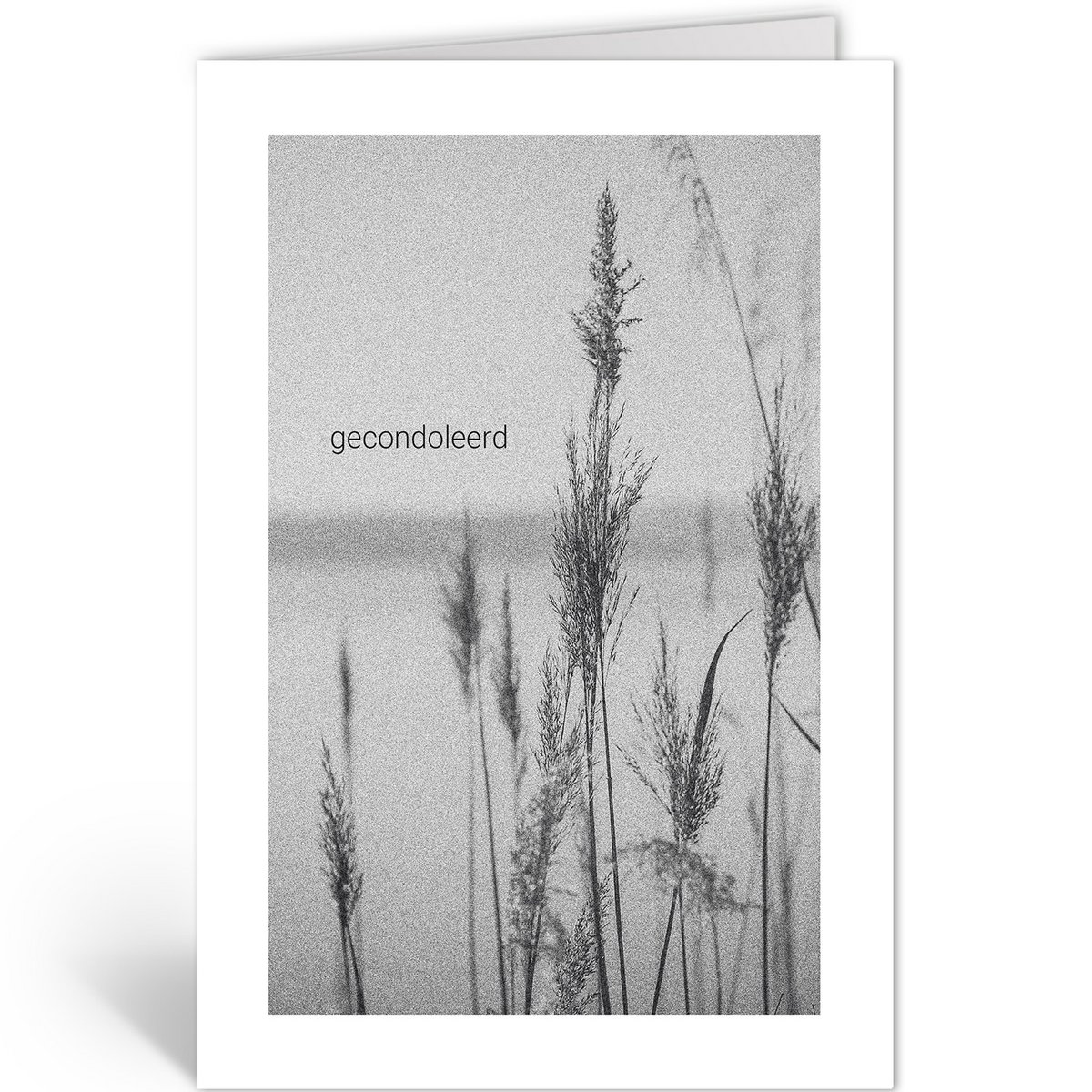 Dln406 - riet