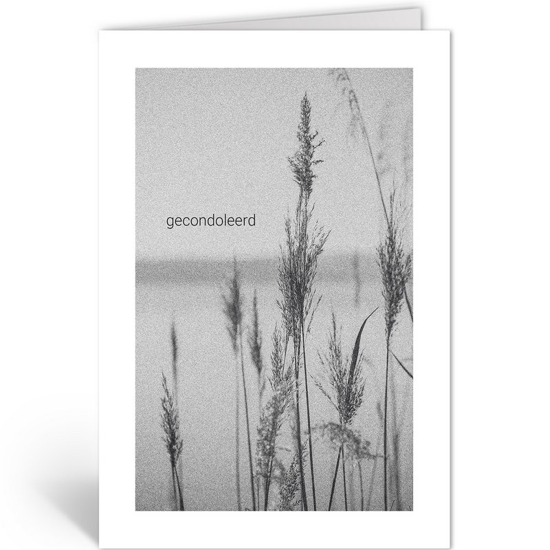 Dln406 - riet